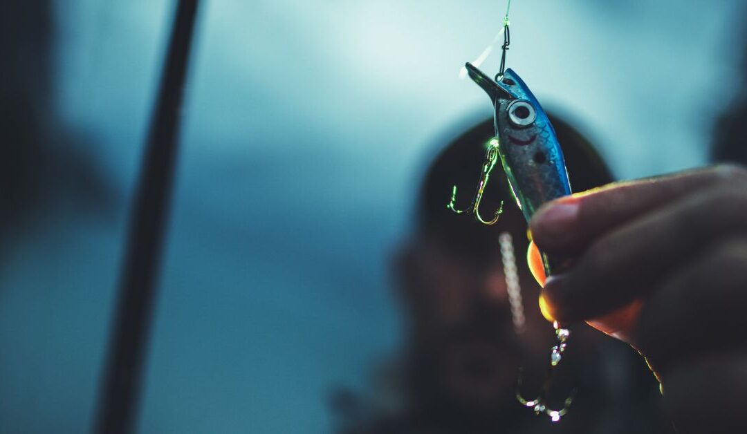 Mastering Baits & Attractants: Proven Tips to Catch More Fish