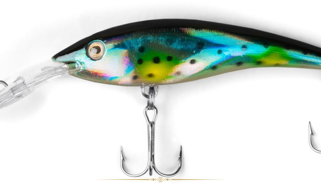 Hooked on Success: How to Select the Right Fishing Hooks Every Time