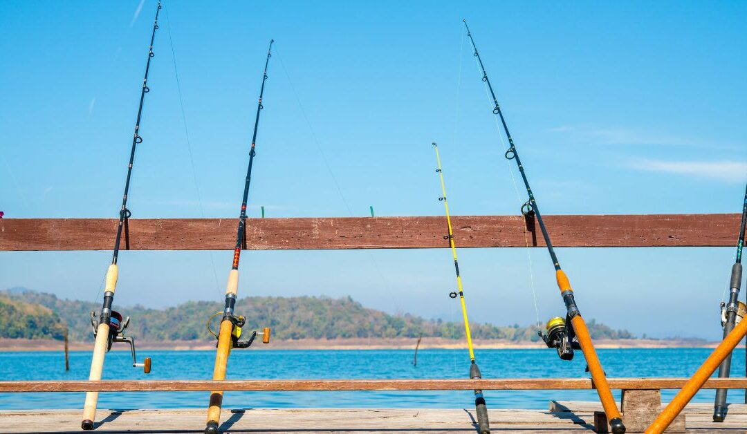 Mastering Your Catch: How to Choose the Perfect Fishing Line for Every Adventure