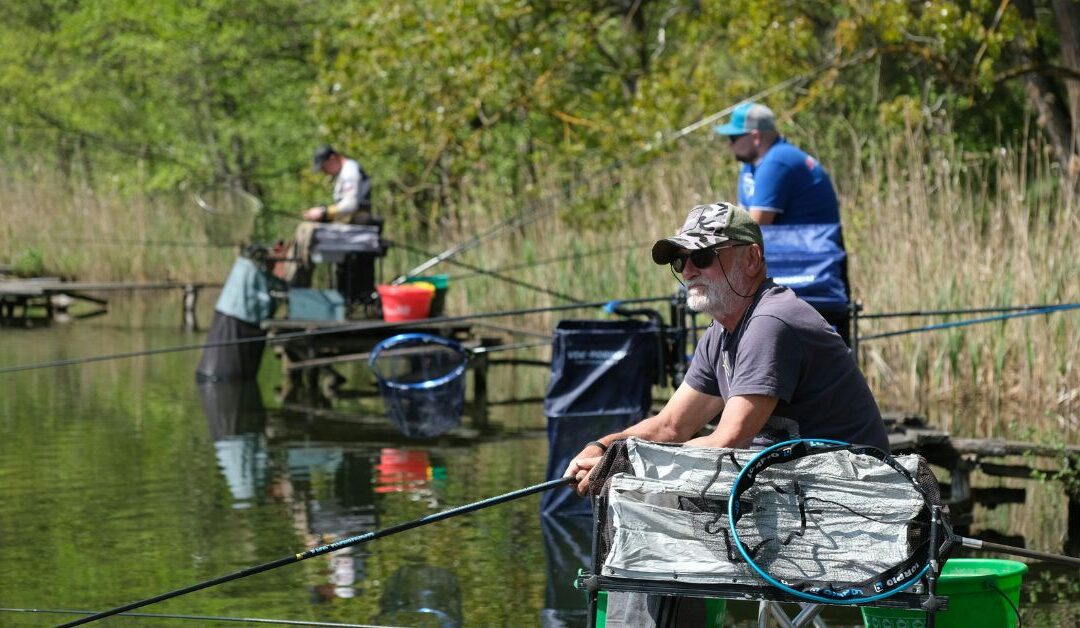 How to Choose the Perfect Fishing Reel for Every Angler